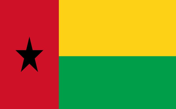 Presidents That Have Ruled Guinea-Bissau Till Date